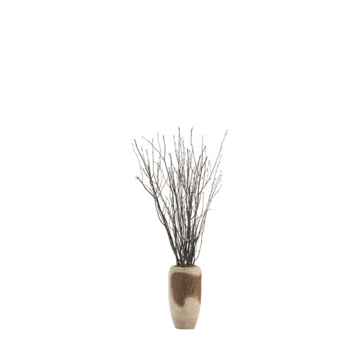 Birch Tops in Yucca Planter - 324964