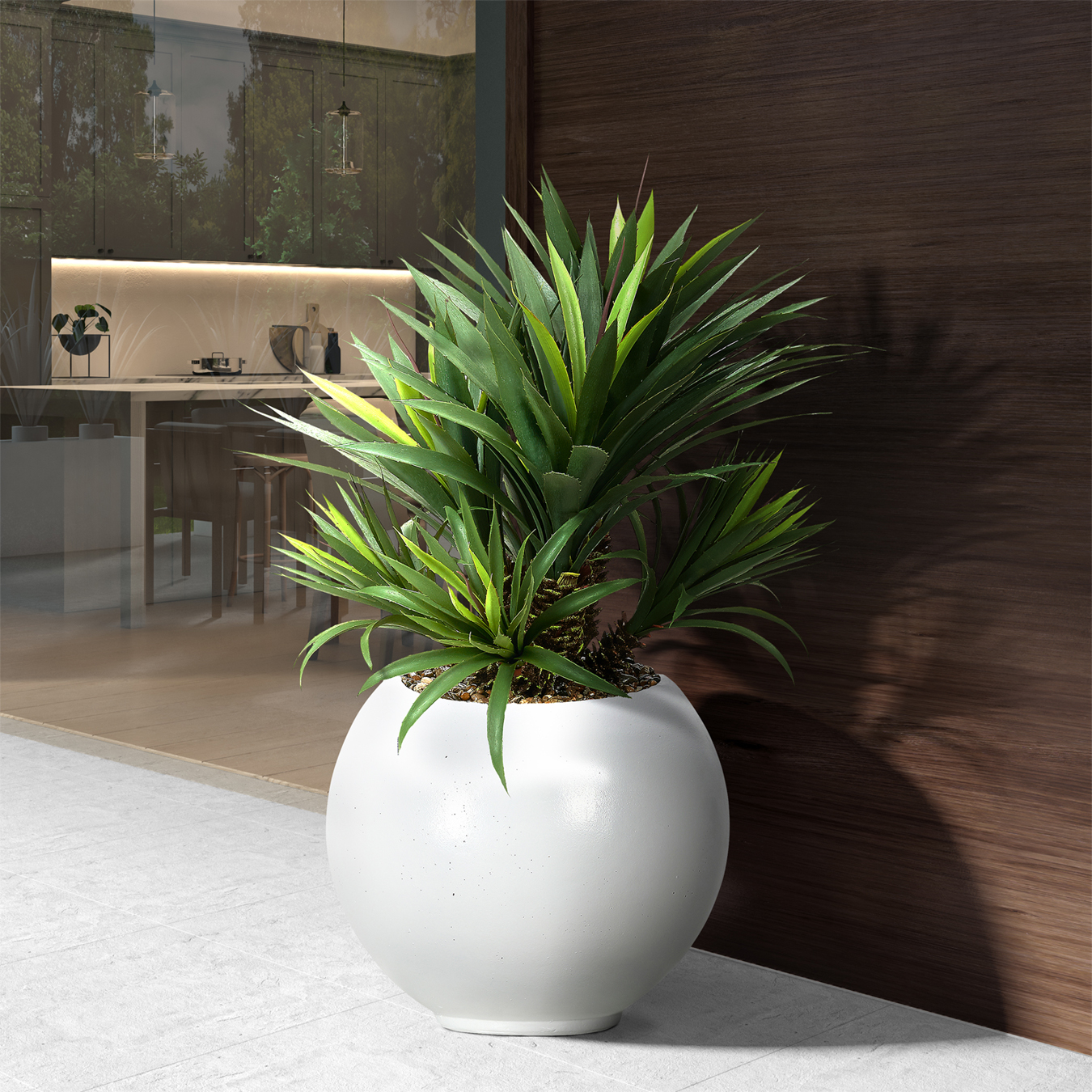 Star Succulent in Porter Planter - 628-3104 - Image 2