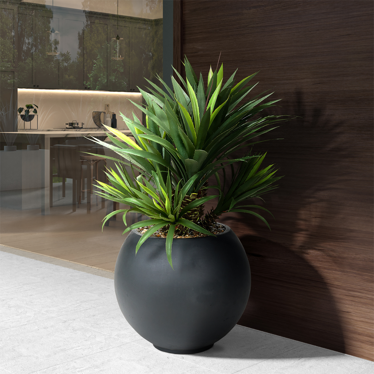 Star Succulent in Black Porter Planter - 628-3106 - Image 2