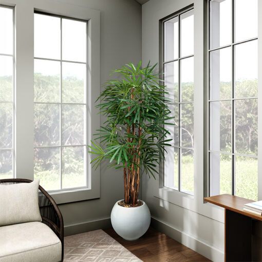 Lady Palm in Porter Planter 7' - 695-3104 - Image 2