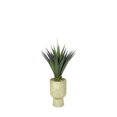 Agave Jumbo in Romelia Planter 4.6' - 716-3116
