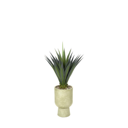 Agave Jumbo in Romelia Planter 4.6' - 716-3116