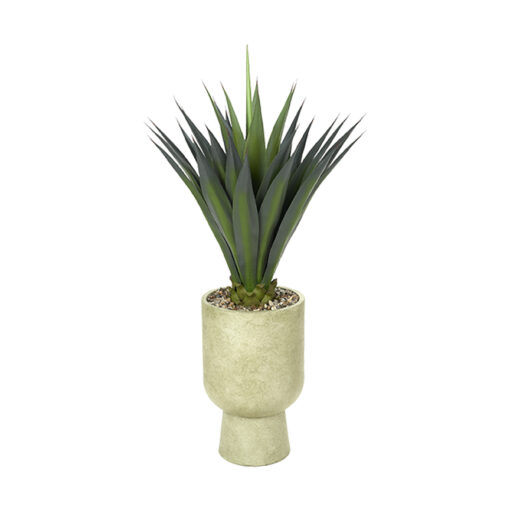 Agave Jumbo in Romelia Planter 4.6' - 716-3116 - Image 2