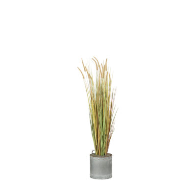 Onion Grass in Galvanized Planter 5.5' - 7241005