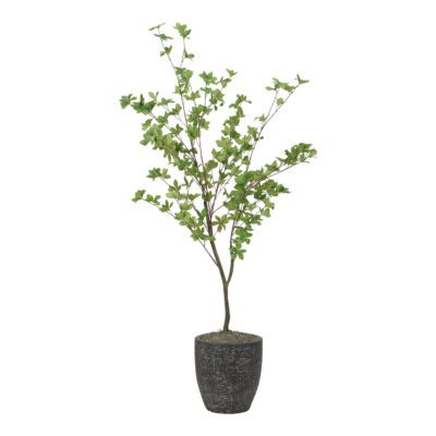 Douban Tree in Hudson Planter 5' - 7241006
