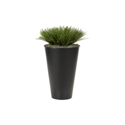 Grass in Black Cheer Planter - 7241015