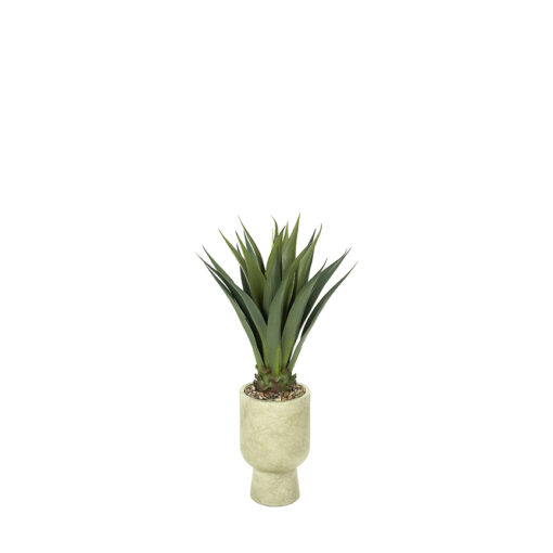 Agave in Romelia Planter 3.3' - 939-3115