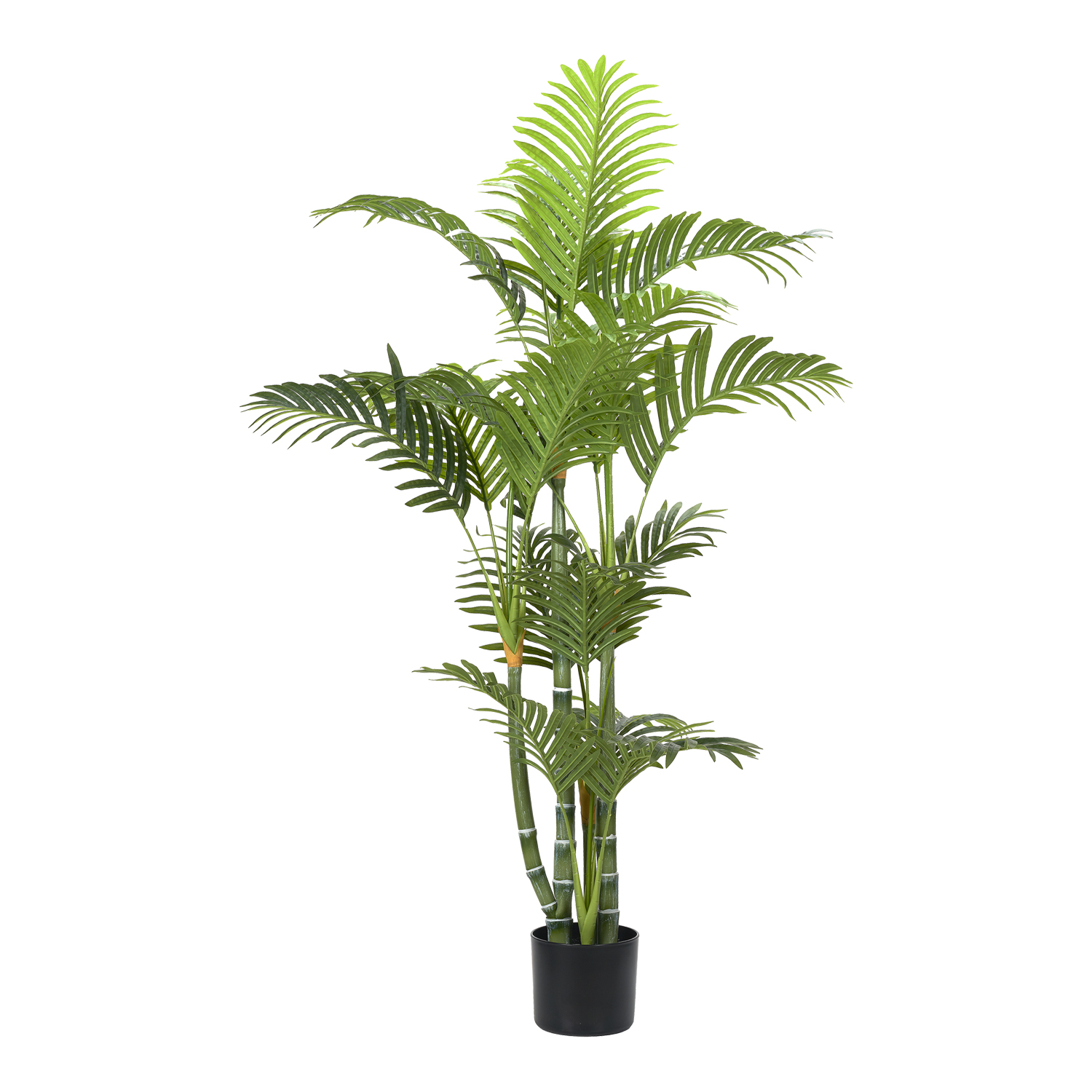 Green Trunked Areca Palm 4' - TL1033