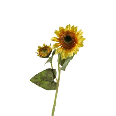 Large Sunflower Stem - FL1702