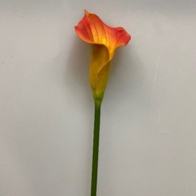 Large Orange Calla Lily - FL2130