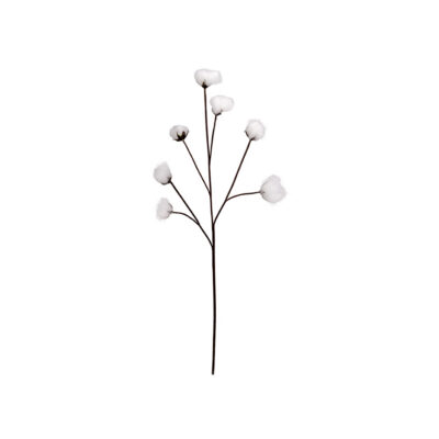 Cotton Ball Spray - FL2363