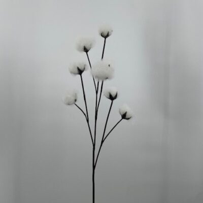 Cotton Ball Spray - FL2363