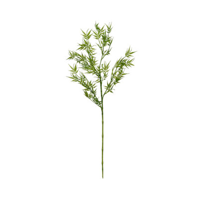 Bamboo Spray - GR1662