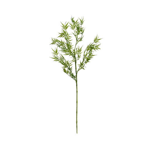 Bamboo Spray - GR1662