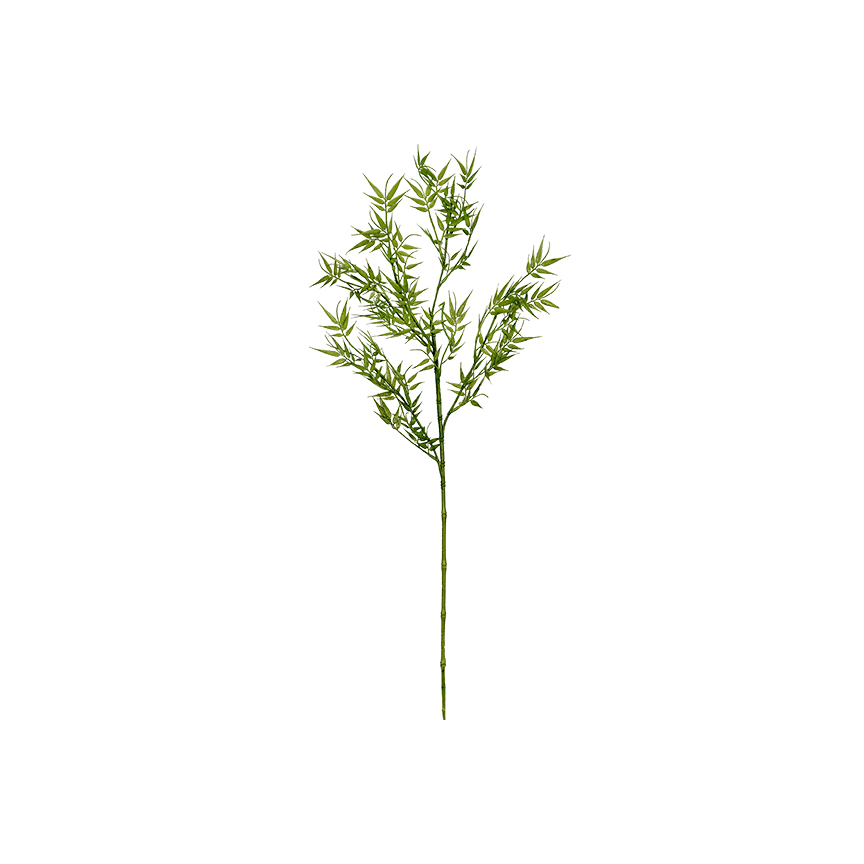 Bamboo Spray - GR1662