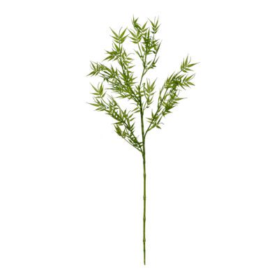 Bamboo Spray - GR1662