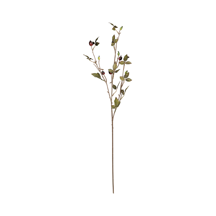 Rosehip Spray - GR1699