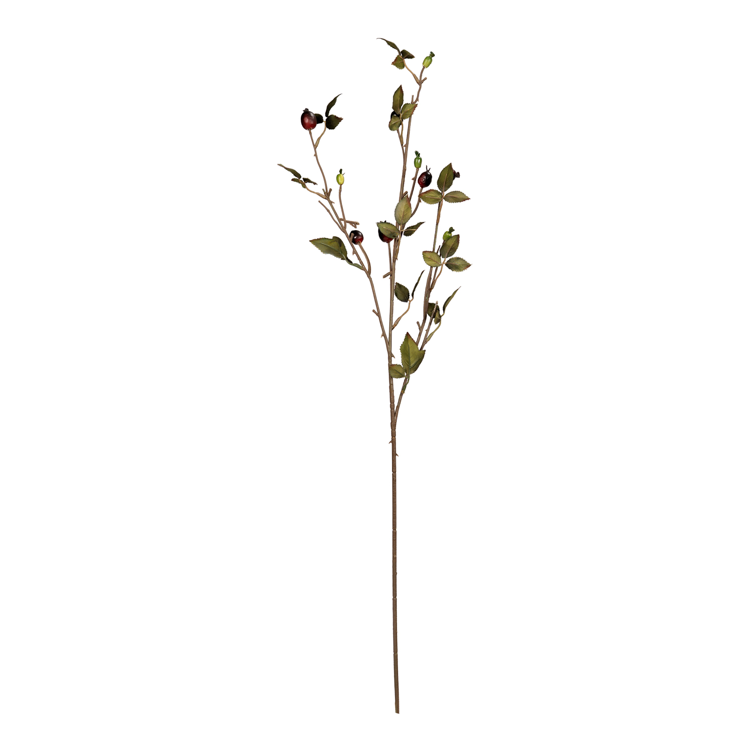 Rosehip Spray - GR1699