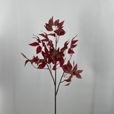 Burgundy Maple Stem - GR1986