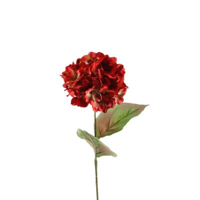 Two Tone Red Hydrangea - FL1677