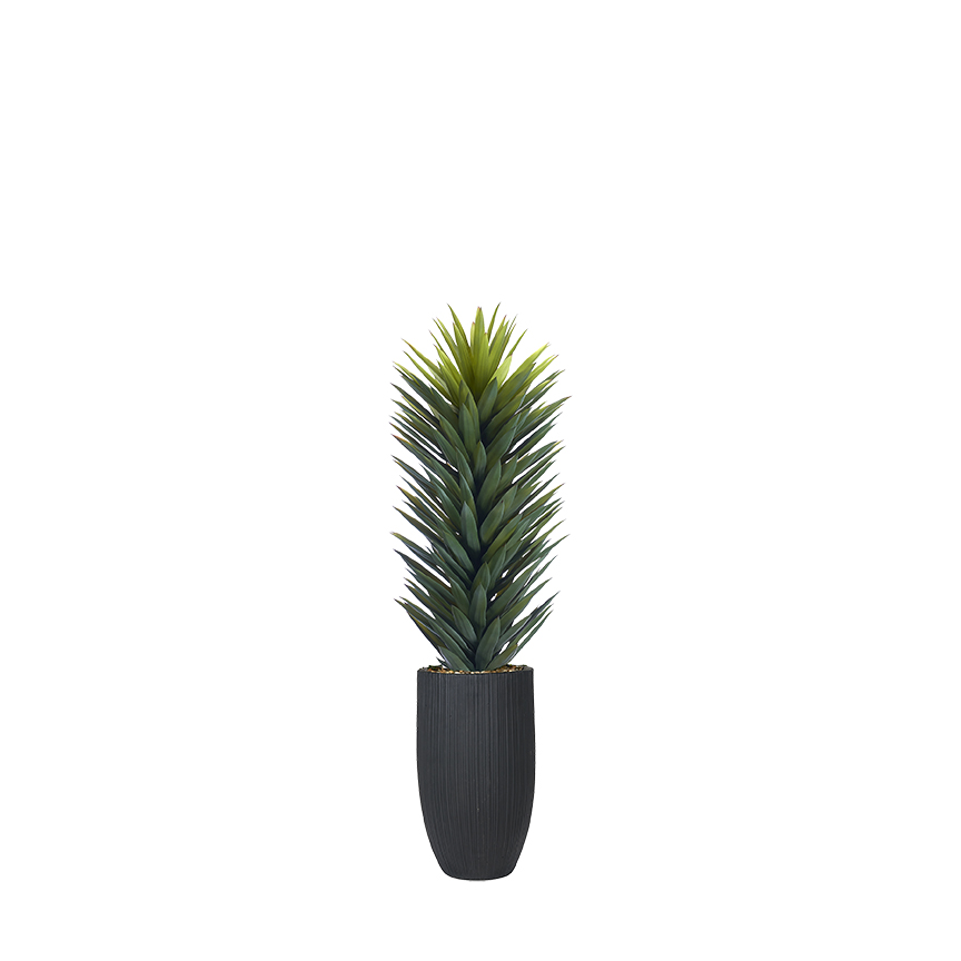 Agave Sisalana in Nell Planter 5' - 1029-3110