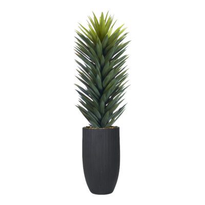 Agave Sisalana in Nell Planter 5' - 1029-3110