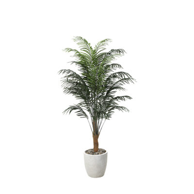 Areca Palm in Hudson Planter 8' - 320946-2818