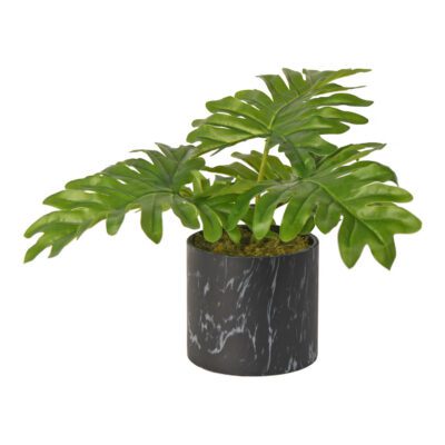 Philo Leaves in Black Marbled Planter - 218006