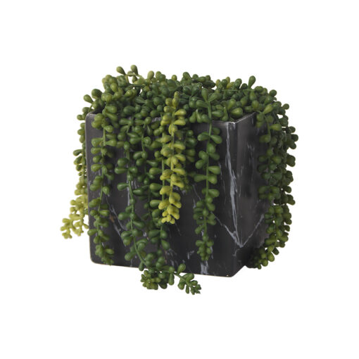 Sedum Spray in Black Marbled Planter - 218015
