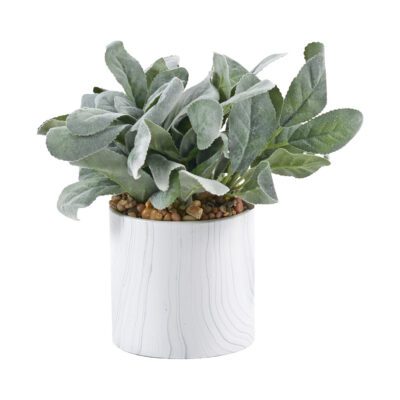 Lamb's Ear in White Marbled Planter - 249059-S