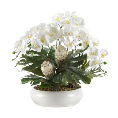 Orchids, Palms, Proteas, and Staghorn Fern in White Simply Low Bowl - 249061