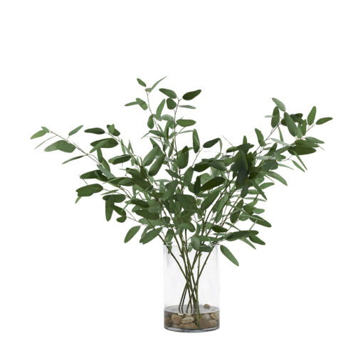 Eucalyptus in Rowan Vase - 250101