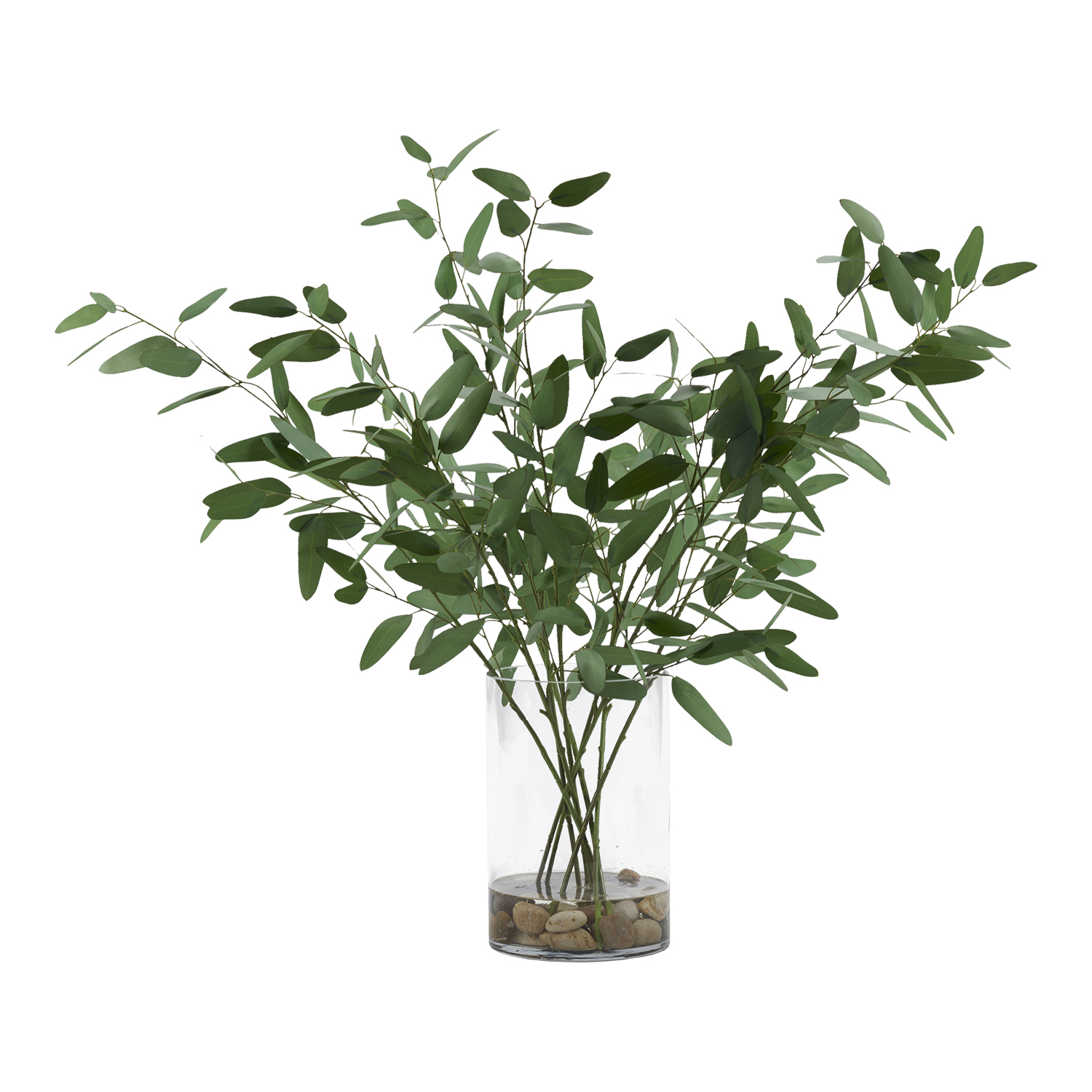 Eucalyptus in Rowan Vase - 250101