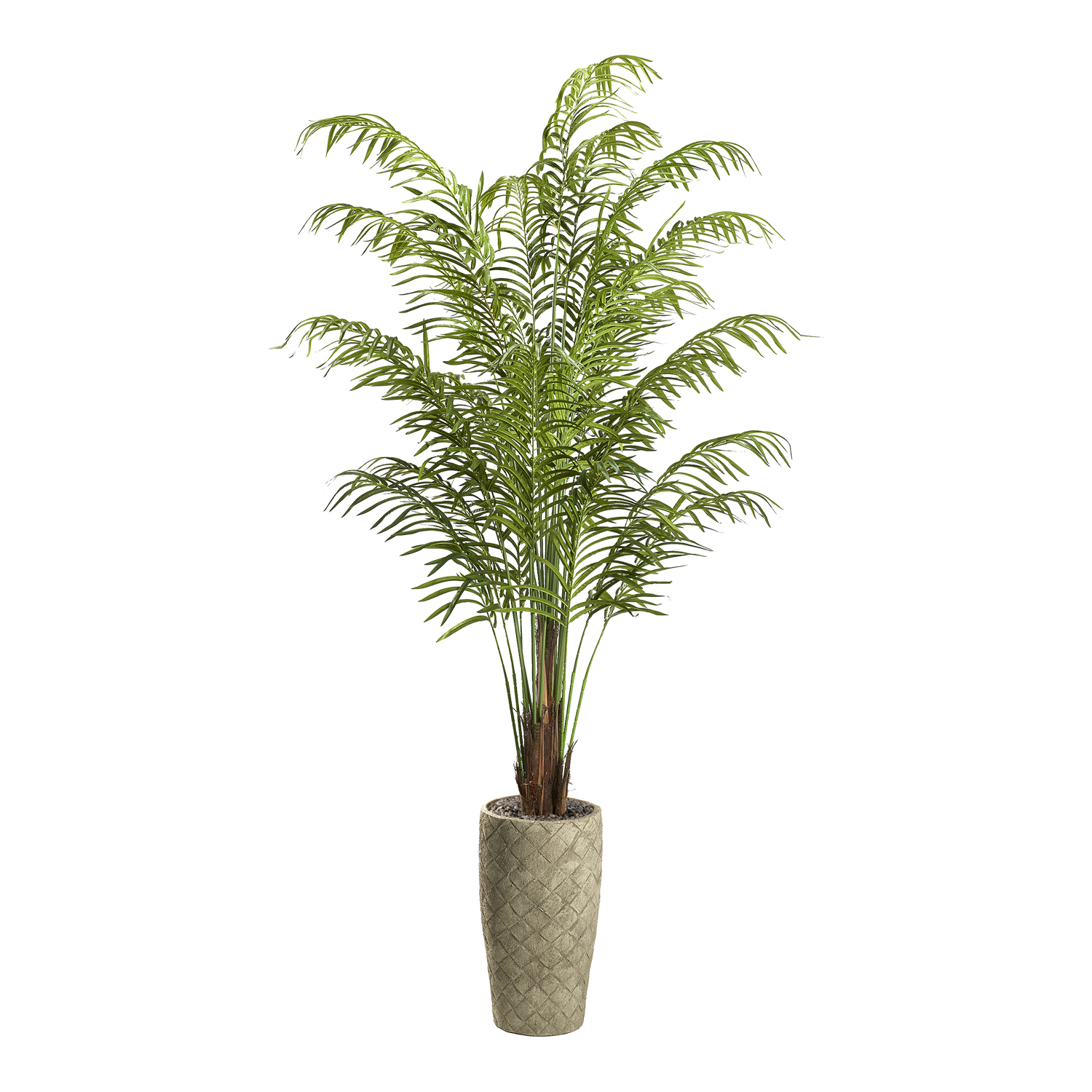 Areca Palm in Plait Planter 8' - 321840