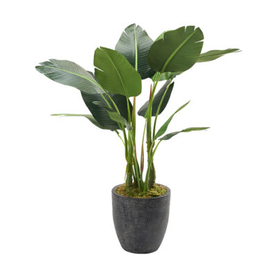 4' Bird of Paradise in Medium Sawyer Planter - 321890