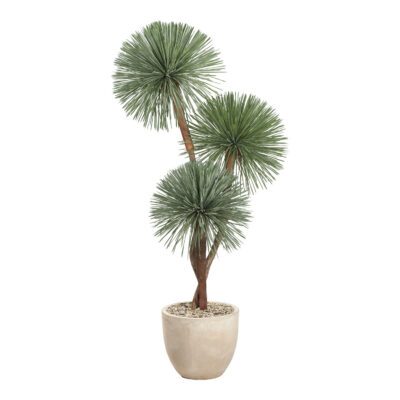 Yucca Rostrata in Grove Planter 7.5' - 325011