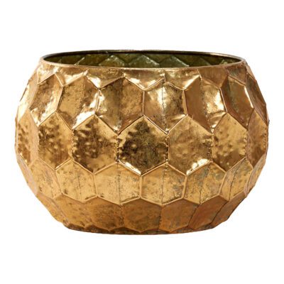 Felix Planter