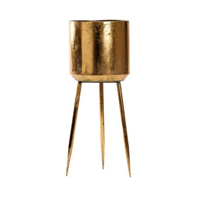 Regina Planter