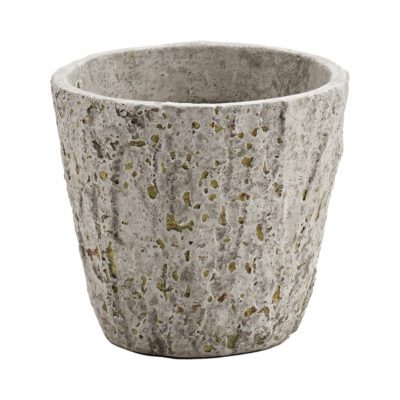 Genevieve Planter