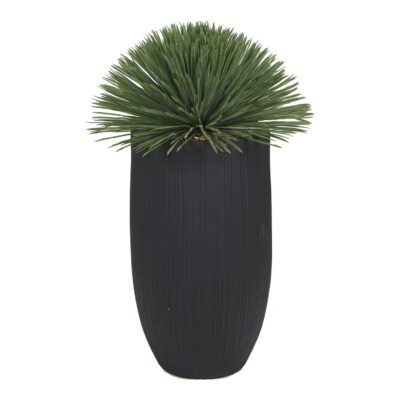 Yucca Rostrata in Nell Planter - 1041-3111
