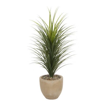 Panicum Grass in Grove Planter 4.6' - 1042-2907