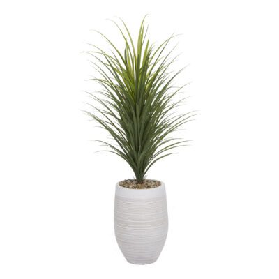 Panicum Grass in Kai Planter 4.8' - 1042-2917