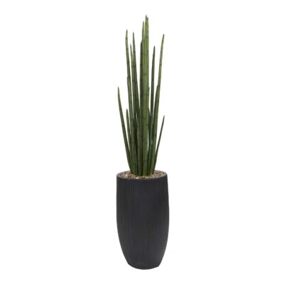Sansevieria in Nell Planter - 1044-3110
