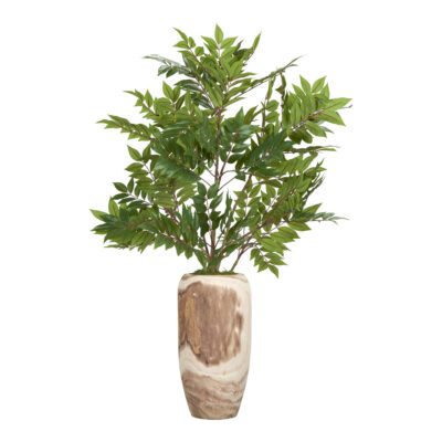 Ailanthus in Yucca Planter 3.5' - 254003
