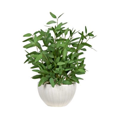 Blue Eucalyptus in Ezra Planter - 254005