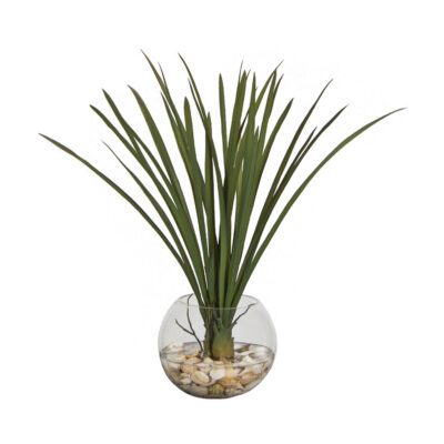 Areca Grass in Bubble Bowl - 254009