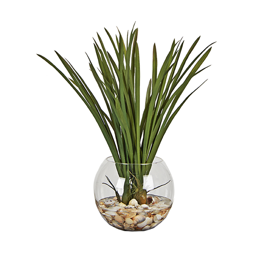 Areca Grass in Bubble Bowl - 254010 - Image 2