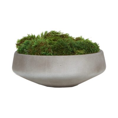 Mood Moss in Large Newport Bowl - 254014