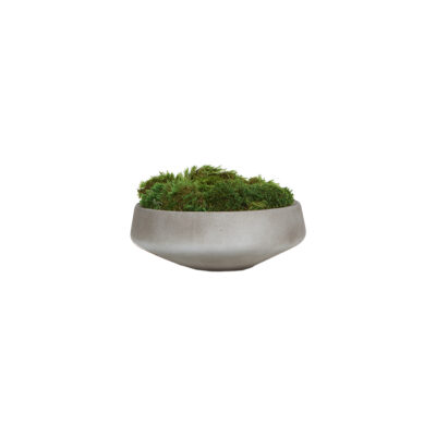 Mood Moss in Large Newport Bowl