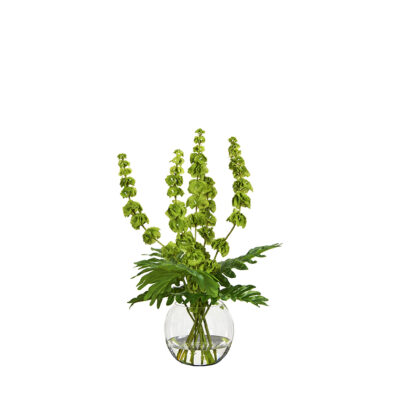 Bells of Ireland and Philodendron in Bubble Bowl - 254021